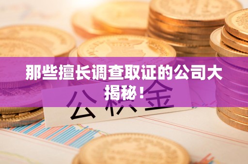 宁化那些擅长调查取证的公司大揭秘！
