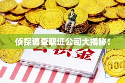 宁化侦探调查取证公司大揭秘！