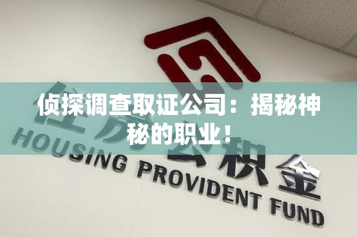 宁化侦探调查取证公司：揭秘神秘的职业！