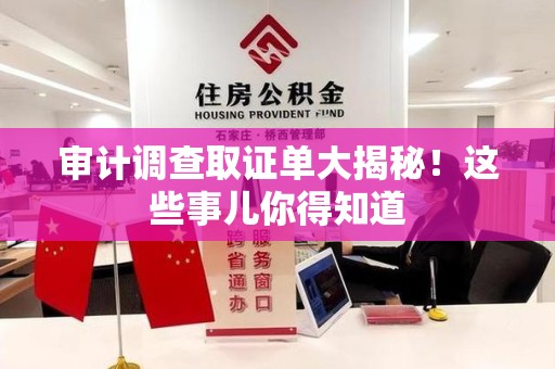 宁化审计调查取证单大揭秘！这些事儿你得知道