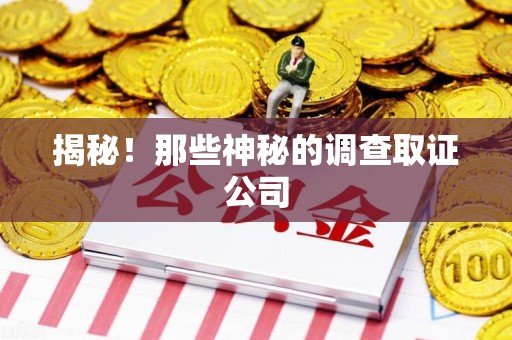 宁化揭秘！那些神秘的调查取证公司
