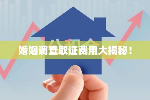 宁化婚姻调查取证费用大揭秘！
