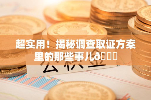宁化超实用！揭秘调查取证方案里的那些事儿😎