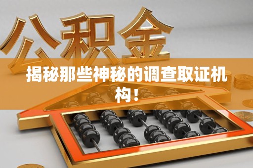 宁化揭秘那些神秘的调查取证机构！