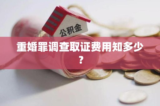 宁化重婚罪调查取证费用知多少？