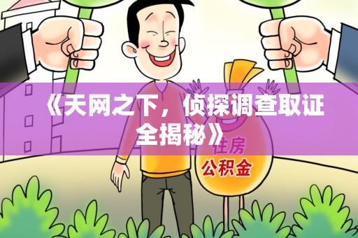 宁化《天网之下，侦探调查取证全揭秘》