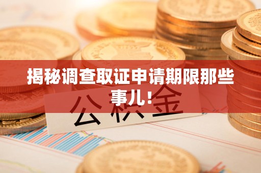 宁化揭秘调查取证申请期限那些事儿！