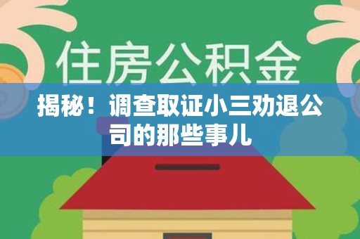 宁化揭秘！调查取证小三劝退公司的那些事儿