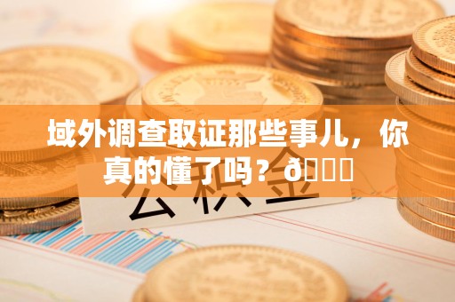 宁化域外调查取证那些事儿，你真的懂了吗？😎