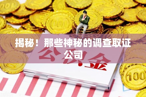 宁化揭秘！那些神秘的调查取证公司