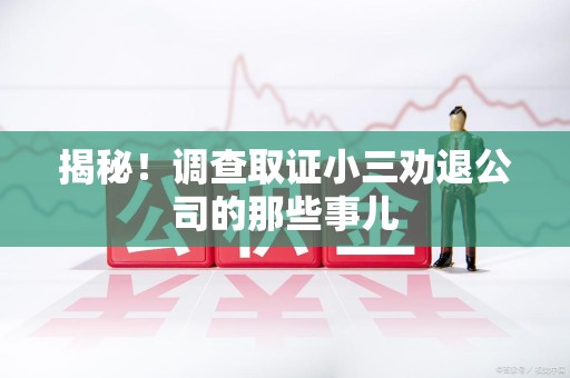 宁化揭秘！调查取证小三劝退公司的那些事儿
