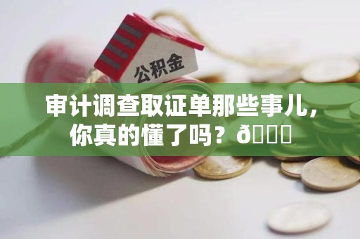 宁化审计调查取证单那些事儿，你真的懂了吗？😎